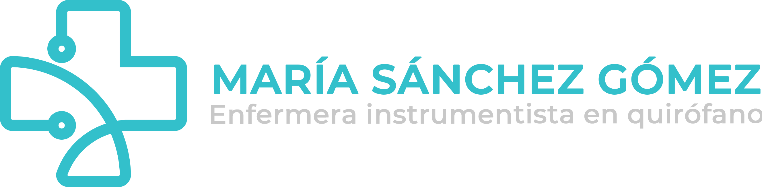 logo not found